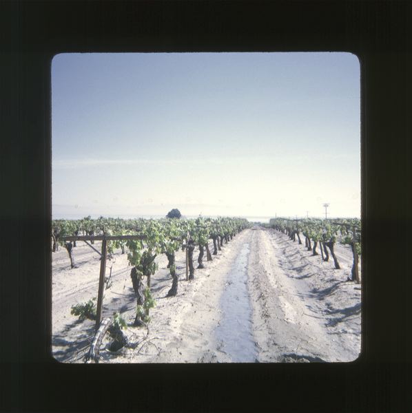 scan0002.jpg