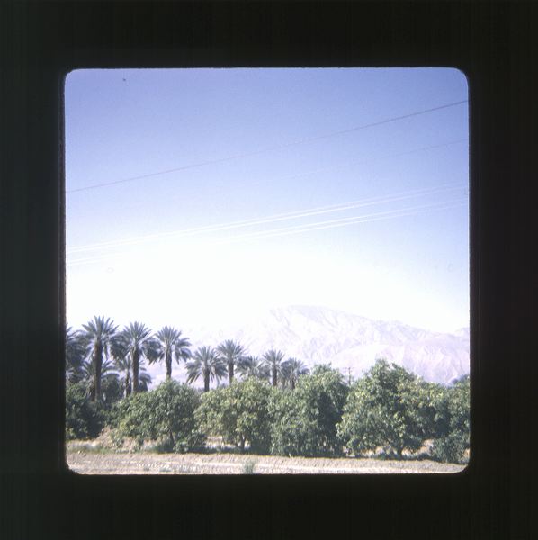 scan0004.jpg