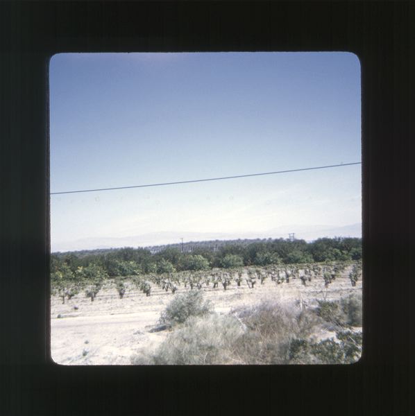 scan0005.jpg
