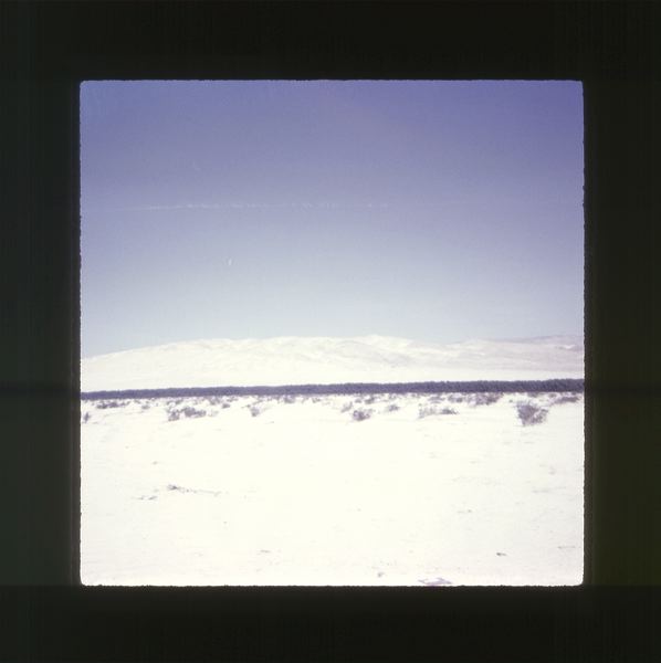 scan0009.jpg