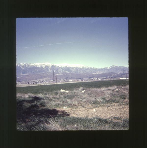 scan0013.jpg