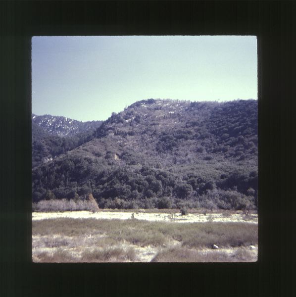 scan0016.jpg