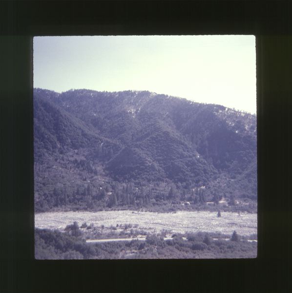 scan0017.jpg