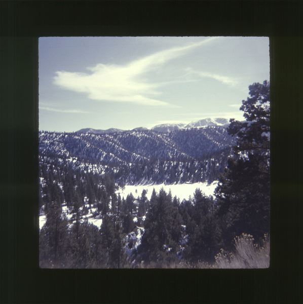 scan0018.jpg