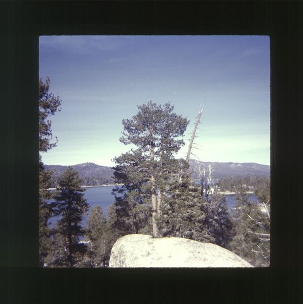 scan0021.jpg