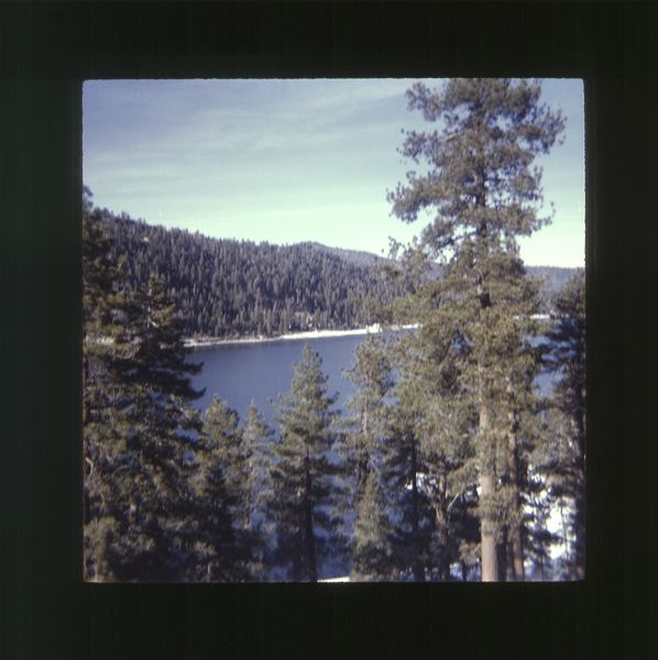 scan0022.jpg