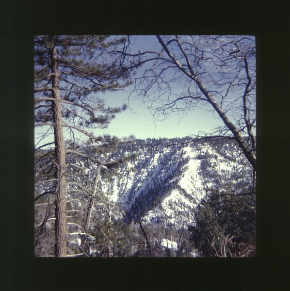 scan0024.jpg