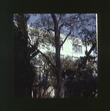 scan0009