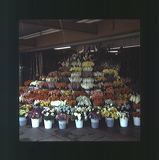 scan0029