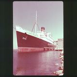 scan0038