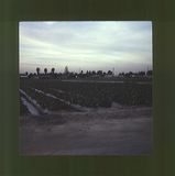 scan0074