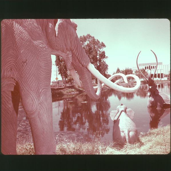 scan0012.jpg