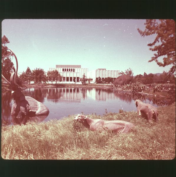 scan0013.jpg