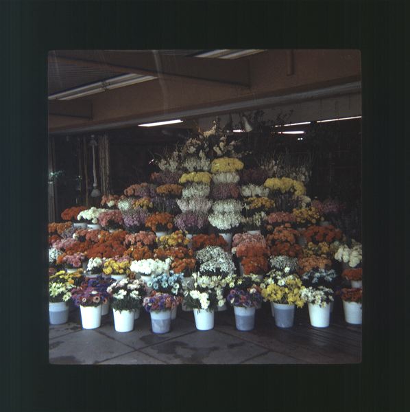 scan0029.jpg