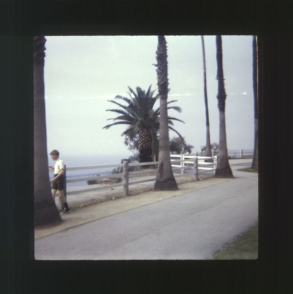 scan0031.jpg