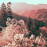 scan0006