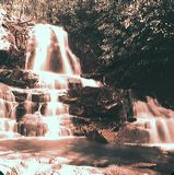 scan0010
