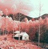 scan0011