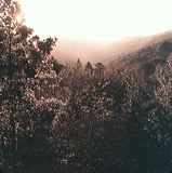 scan0012