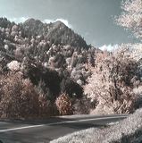 scan0014