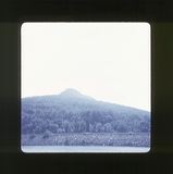 scan0066