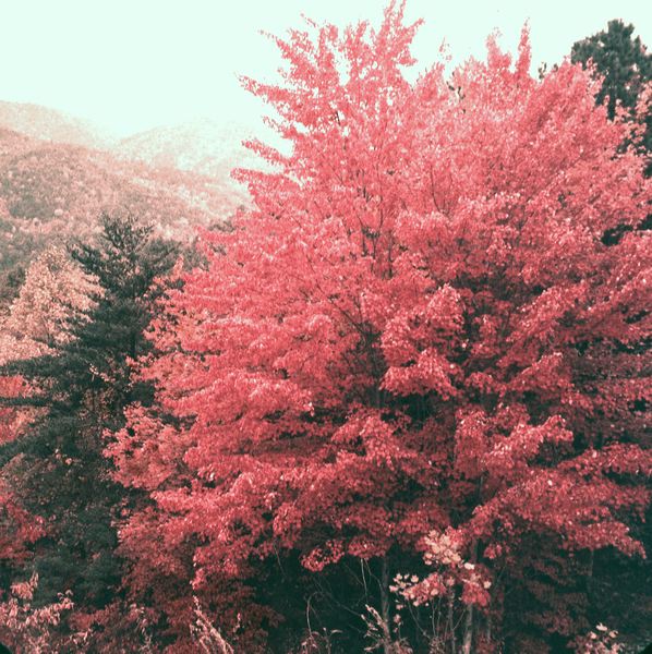 scan0015.jpg