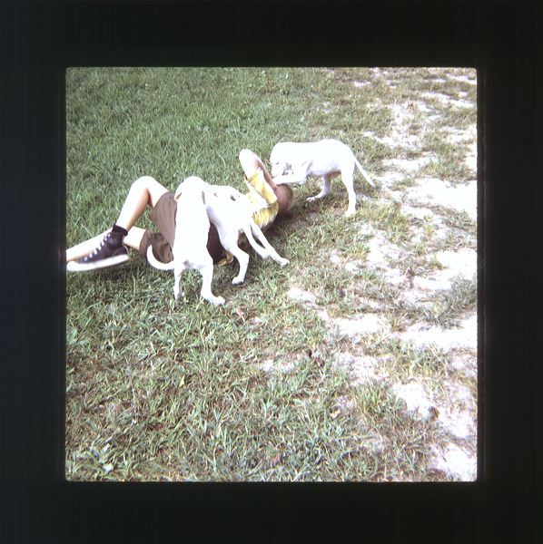 scan0051.jpg