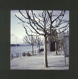 scan0008