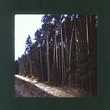scan0070
