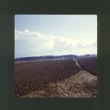 scan0079