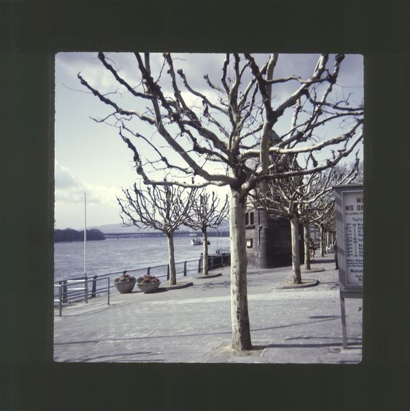 scan0008.jpg