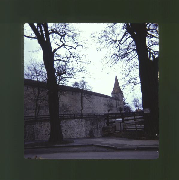 scan0049.jpg