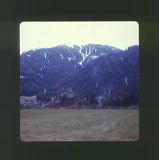 scan0042