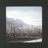 scan0045