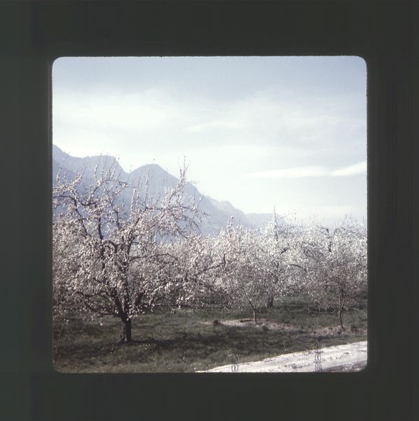 scan0045.jpg