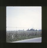 scan0008