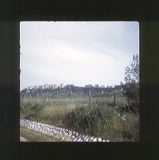 scan0013