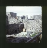 scan0015