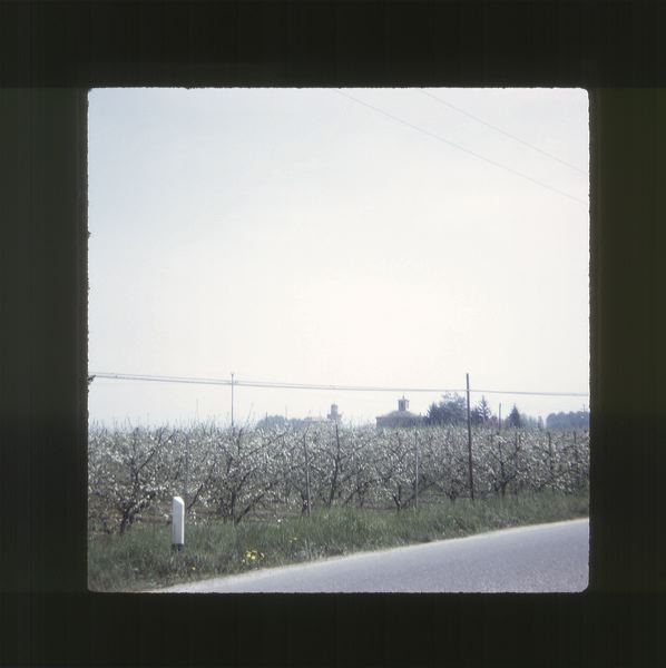 scan0008.jpg