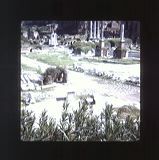 scan0046