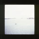 scan0030