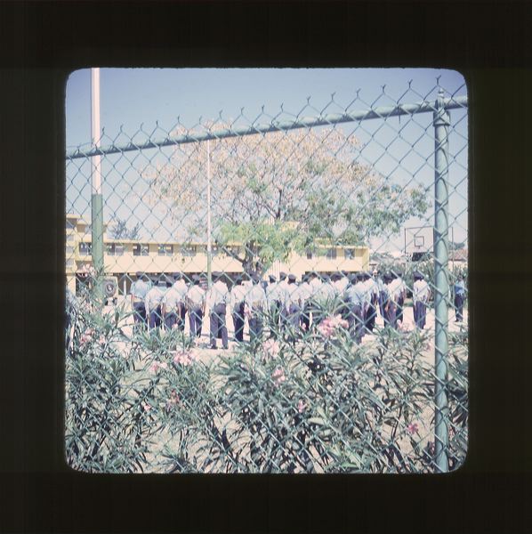 scan0010.jpg