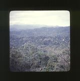 scan0015
