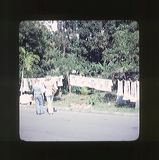 scan0033
