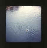 scan0044
