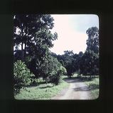 scan0055