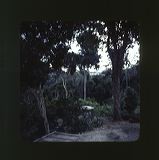 scan0059