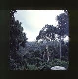 scan0061