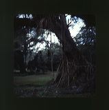 scan0068