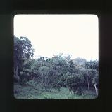 scan0071